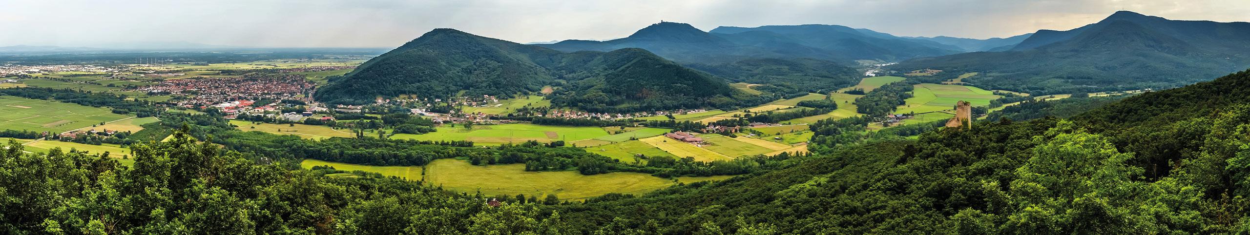 Banner Vogezen - Frankrijk